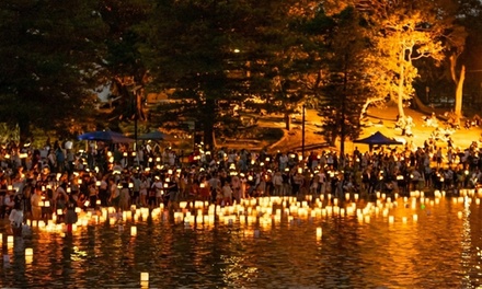 (TX) 3/28/2026: Admission for One Person (Online Redemption Required) - Water Lantern Festival, Leander, TX