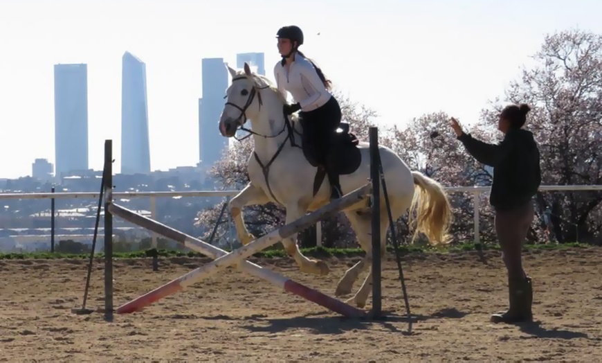 Image 6: 5 o 10 clases de equitación de 50 minutos para todos los niveles