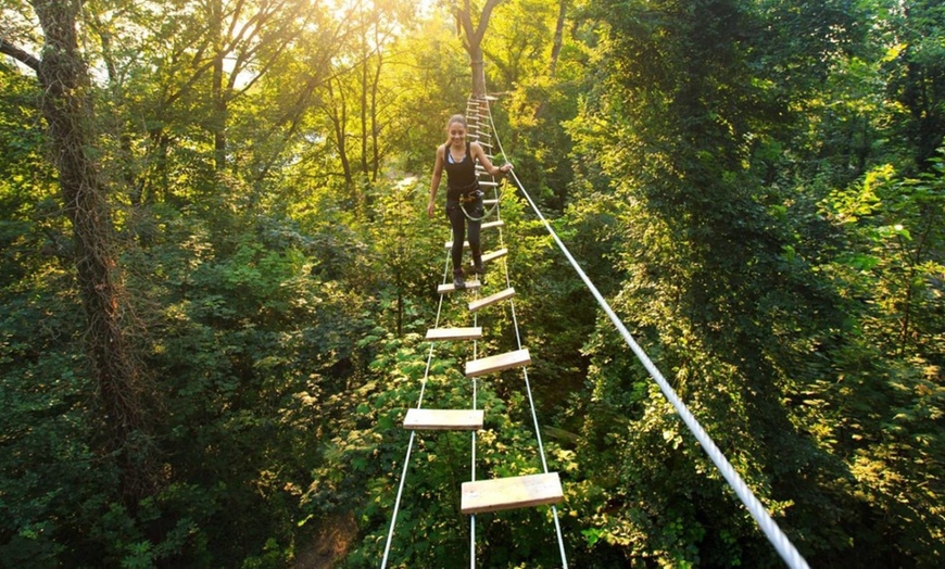 Image 5: Une entrée accrobranche en basse ou haute saison à Adventure Park