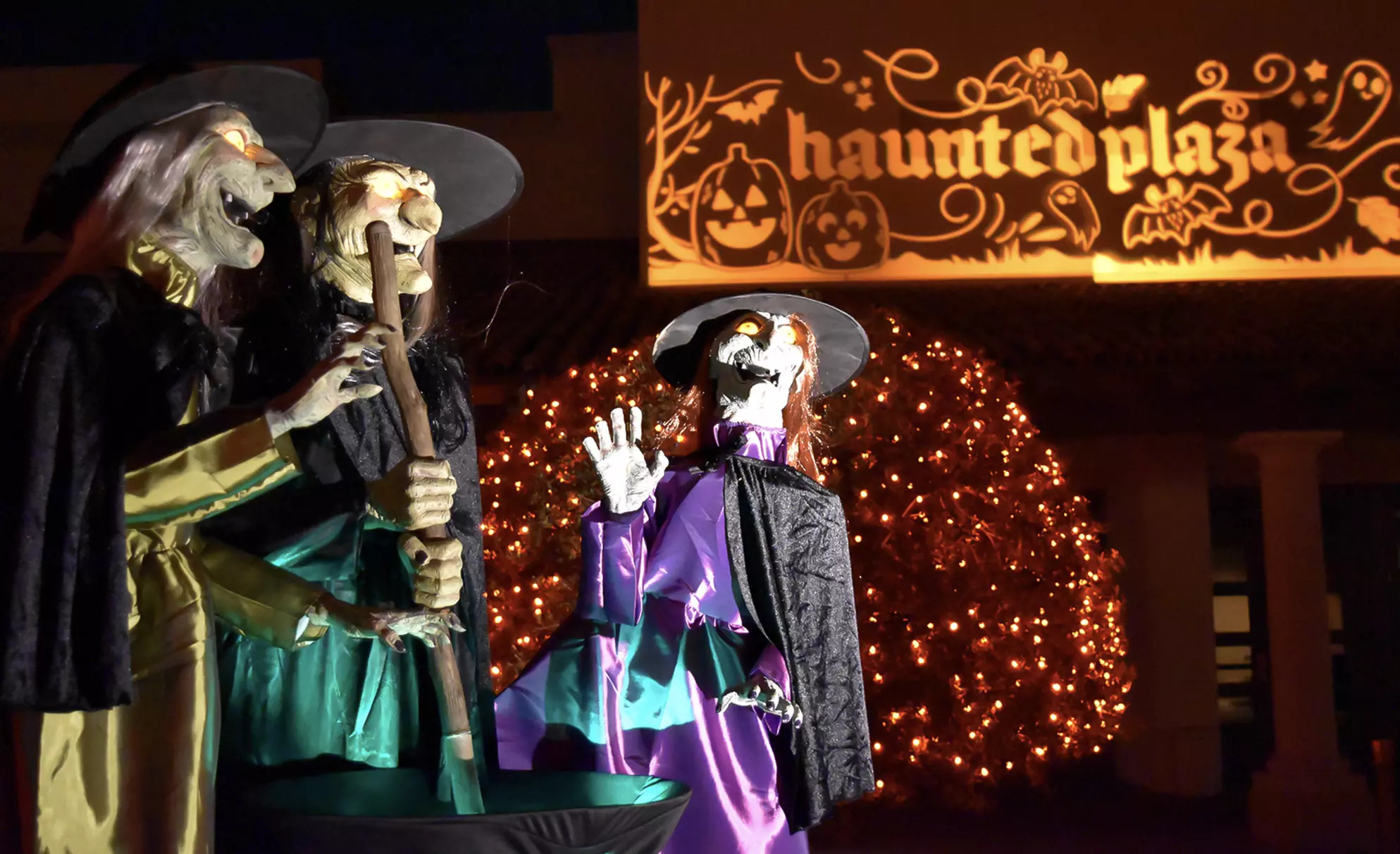 Pumpkin Fest at the Scottsdale Princess - Tickets on Sale Now!