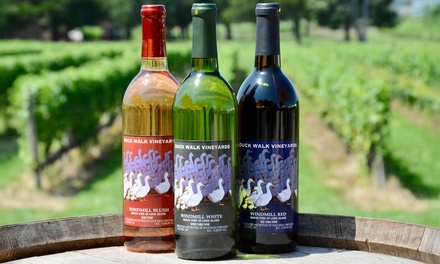 VIP Wine Tasting Experience with Cheese & Crackers for Two People - Duck Walk Vineyards