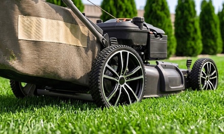 Three Lawn Mows for up to One Half Acre - Mida G And C Cleaning