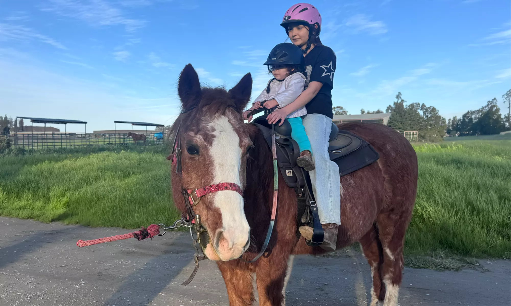 Intro to Horses and Riding - Scenic Views and Confidence in Herald, CA
