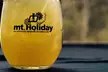 Michigan’s Scenic Mt. Holiday Zip Line Tour - Up to 25% Off - Second Medium