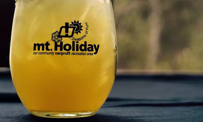 Michigan’s Scenic Mt. Holiday Zip Line Tour