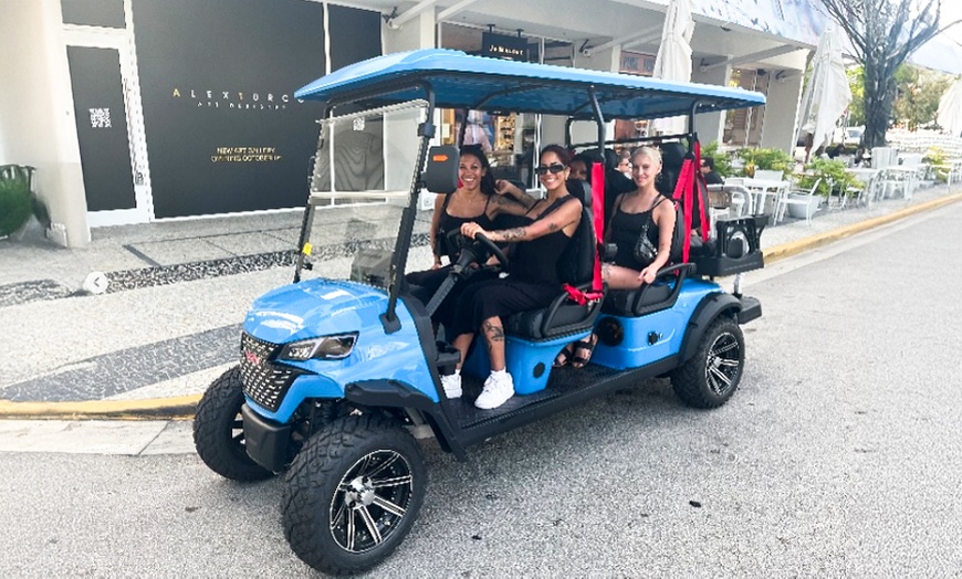 Image 1: VIP Tour Transportation for 1 Person or VIP Tour for Up to 5 People