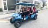 VIP Tour Transportation for One Person or VIP Private Tour for up to 5 people (Up to 60% Off)