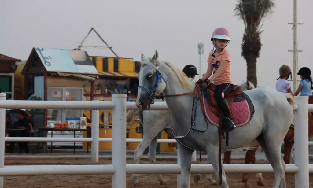Ride Through Desert Beauty with Horseback Hacks & Arena Lessons