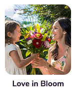 Groupon