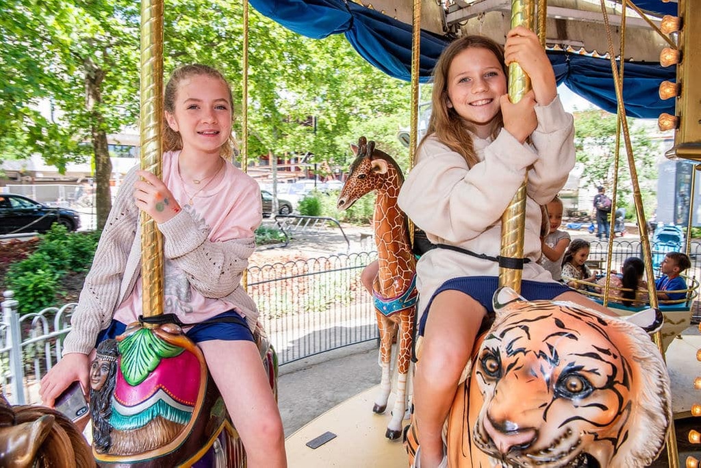 Single Day Pass for One or Family Day Pass for up to 4 Riders
