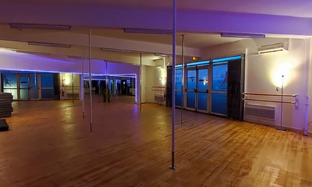 1 cours de pole dance d'1h30