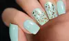 One or Two Shellac Manicures at Lime Tree Spa (Up to 50% Off)
