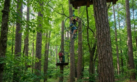 2 People: Aerial Adventure Park Admission with Gloves - Treetop Quest Gwinnett, GA