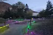 Admission to the Annual Dinos in the Dark Halloween Event; For All Ages w/ Trick-or-Treating or Haunted Trail - Second Medium