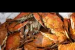 Premium Seafood Sampler Packages: Multiple Options (Up To 38% Off) - Second Medium