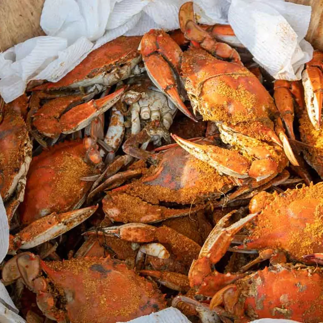 Premium Seafood Sampler Packages: Multiple Options (Up To 38% Off)