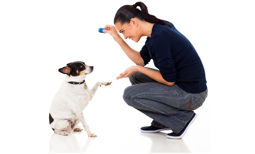 Image 6: Dog Training Clicker and Whistle