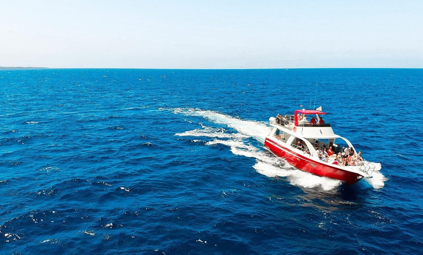 Image 6: Paseo en barco para avistamiento de cetáceos