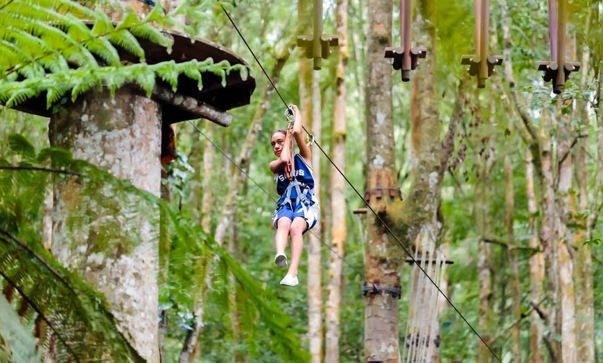 Image 7: GetOutPass Tennessee with Admission to 25+ Iconic Attractions