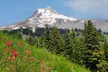 Scenic Chairlift Rides for Juniors, Adults, and Groups with Up to 26% Off - Second Medium