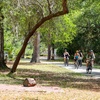 Image 11: Uncover Hidden Orlando: 3-Hour Bike Tour for Up to 8 