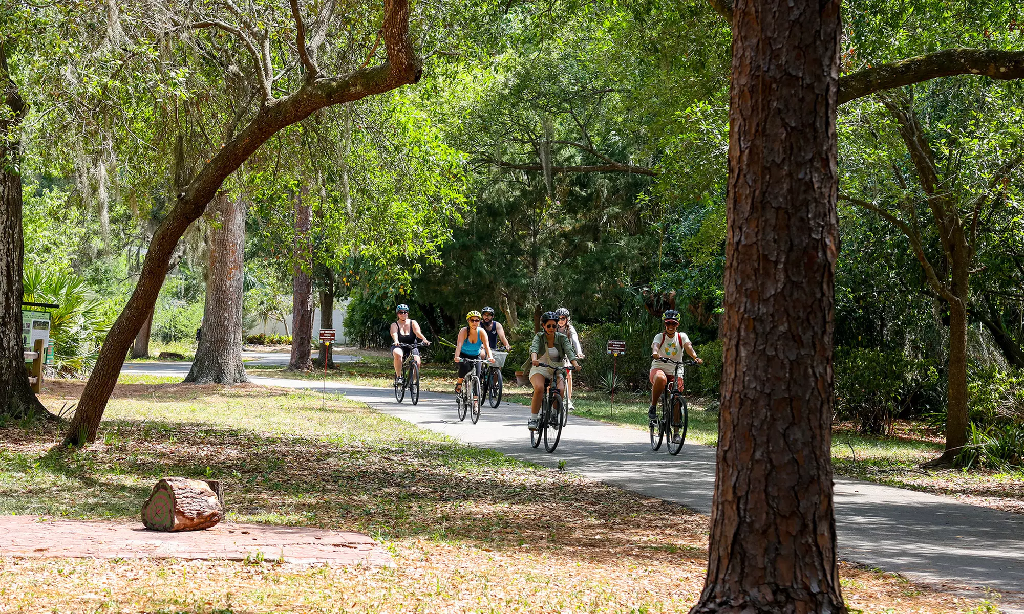 Uncover Hidden Orlando: 3-Hour Bike Tour for Up to 8 