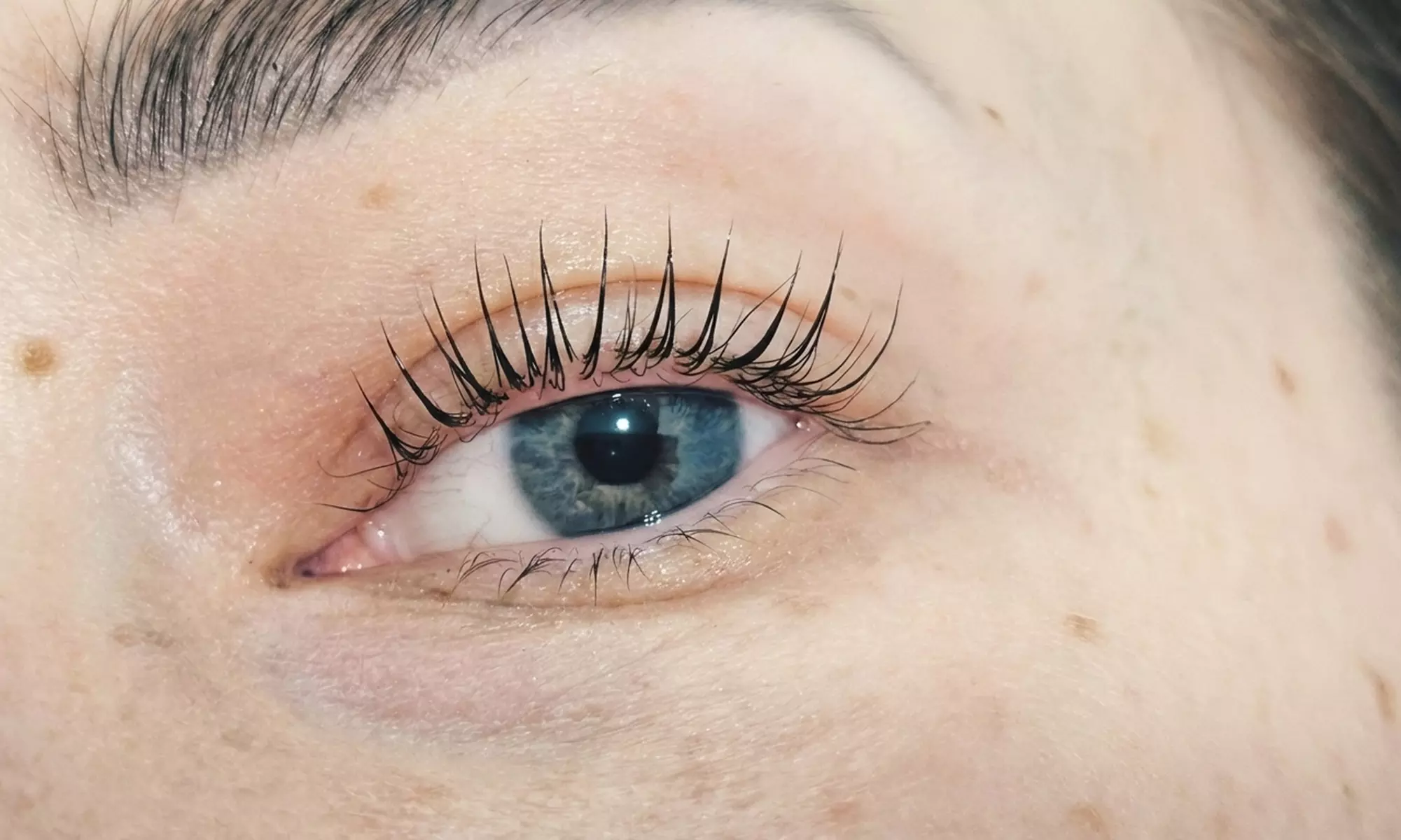 Wimpern- und/oder Augenbrauen-Lifting inkl. Färben für 1 Person