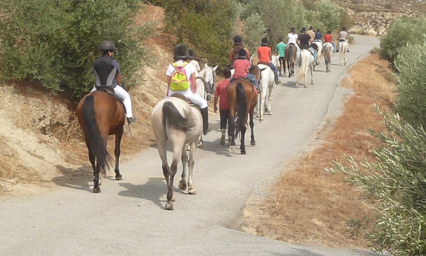 Image 1: Paseo a caballo de 1 hora para 2 o 4 por paraje natural de Granada