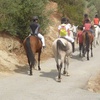 Image 1: Paseo a caballo de 1 hora para 2 o 4 por paraje natural de Granada