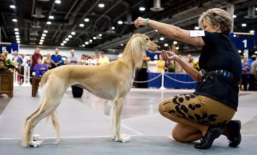Image 1: Houston World Series of Dog Shows - Up to 46% Off 