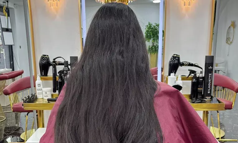 Up to 50% Off on Salon - Hair Colour / Highlights at Queen Land Clinic