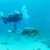 Image 1: Bautismo de buceo con inmersión en el mar durante 45 minutos