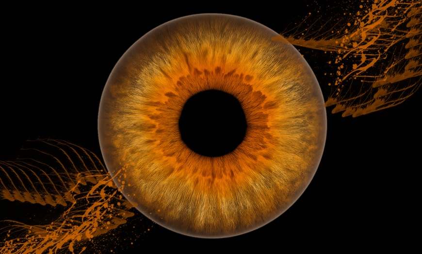 Image 5: Iris-Fotoshooting für 1 - 3 Iriden ohne Effekt inkl. Bild als Datei