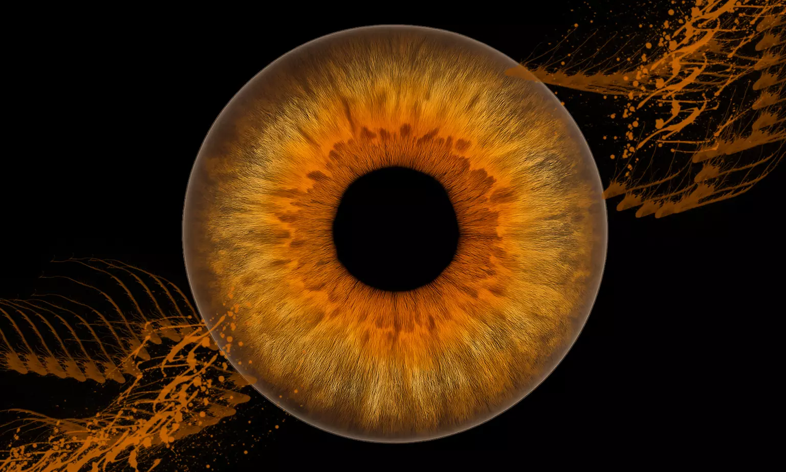 Iris-Fotoshooting für 1 - 3 Iriden ohne Effekt inkl. Bild als Datei