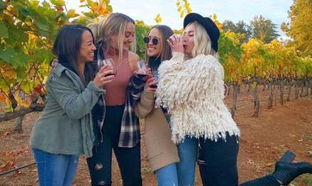 Wine Tasting of 5 Wines for 2 People + Small Cheese and Charcuterie - Docmanov Vineyards and Winery