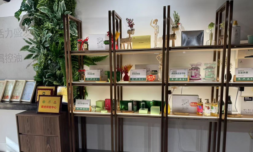 Image 4: 60Min Head Spa: Herbal, Hydroxyl Acid Nourishment or Ginger & Ginseng
