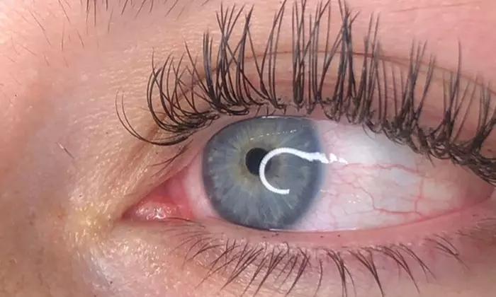 Full Set of Classic Eyelash Extensions with Optional Two-Week Fill