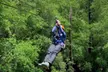 Soar Through the Trees on a 9-Zipline Course for 2-8 People at Adventures Unlimited (Up to 37% Off) - Second Medium