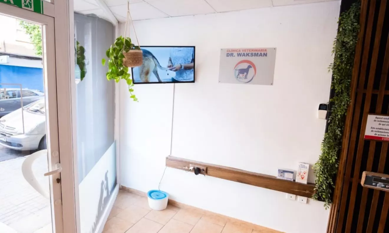 Sesión de peluquería canina para perros de hasta 6, 15 o 30 kg