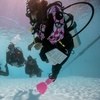Image 6: Discover the Underwater World with PADI Scuba Diving for One or Two