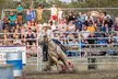 Genesee County Fair Tickets! August 18-24, 2025 - Up to 33% Off - Second Medium