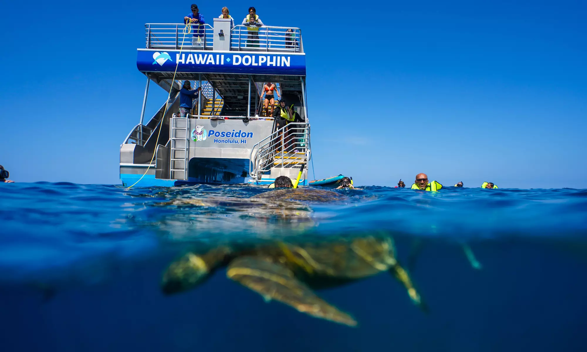 3-Hours Oahu Ocean Adventure w/ Dolphins, Turtles & Water Activities