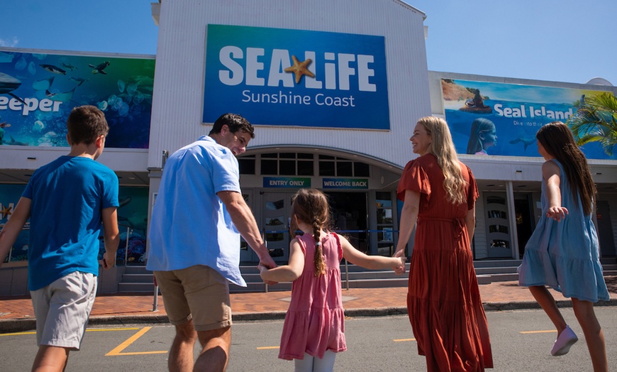 Image 5: Save 20% on SEA LIFE Sunshine Coast   Weekends Included! Adult & Child