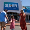 Image 5: Save 20% on SEA LIFE Sunshine Coast   Weekends Included! Adult & Child