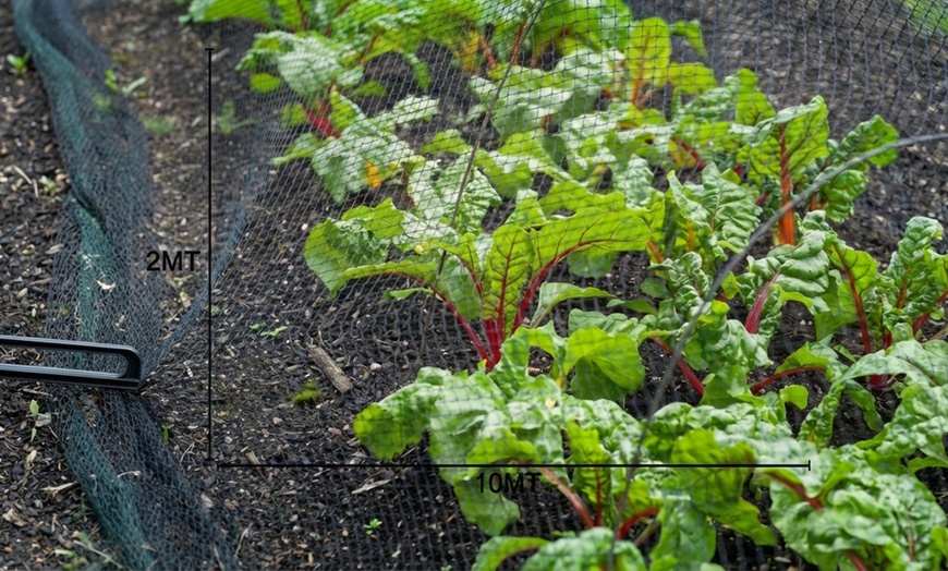 Image 8: Rotolo rete antigrandine