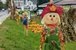 Discover Chris' Farm Stand's  $15 or $20 Voucher Towards Pumpkin Purchase or One Hayride  (Up to 33% Off) - Second Medium