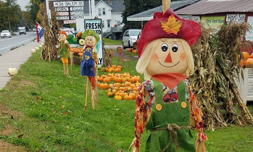 Image 5:  Enjoy $15 or $20 Voucher Towards Pumpkin Purchase or One Hayride 