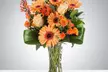 Enjoy 1 or 2Bouquet: Creamsicle or Rose Gold, Little Dreamer or You Light The Room at Kailua, 96 - Up to 38%Off - Second Medium