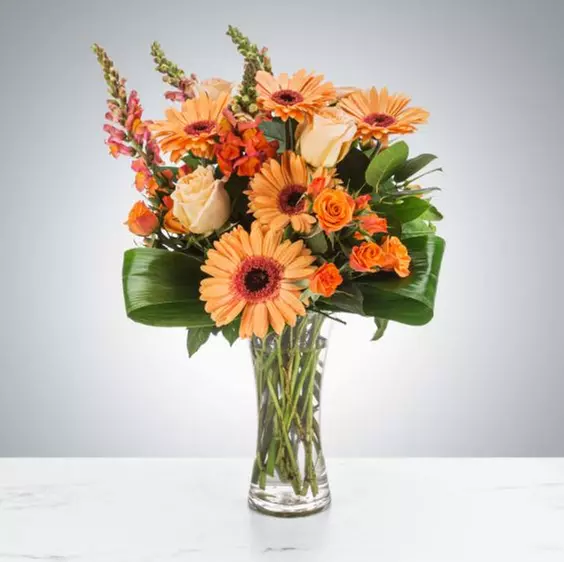 Bouquest: Creamsicle or Rose Gold, Little dreamer or You Light Room