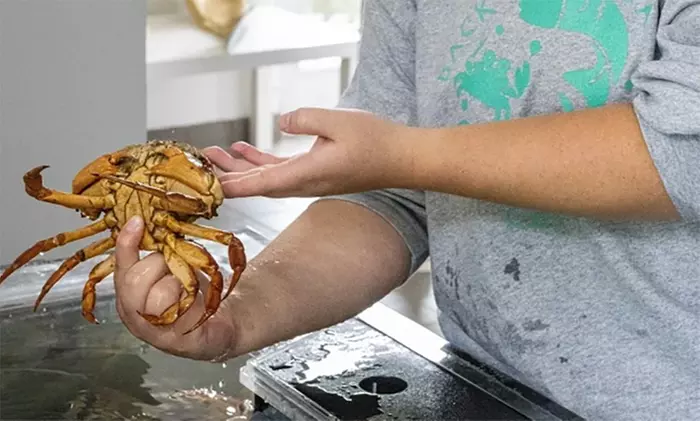 Dive into the Ocean World with Admission to  Up to Six